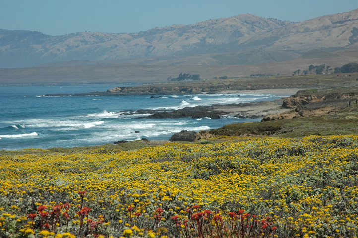 Piedras Blancos Lighthouse 095.jpg